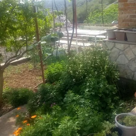 Apartment Kuca Za Odmor 